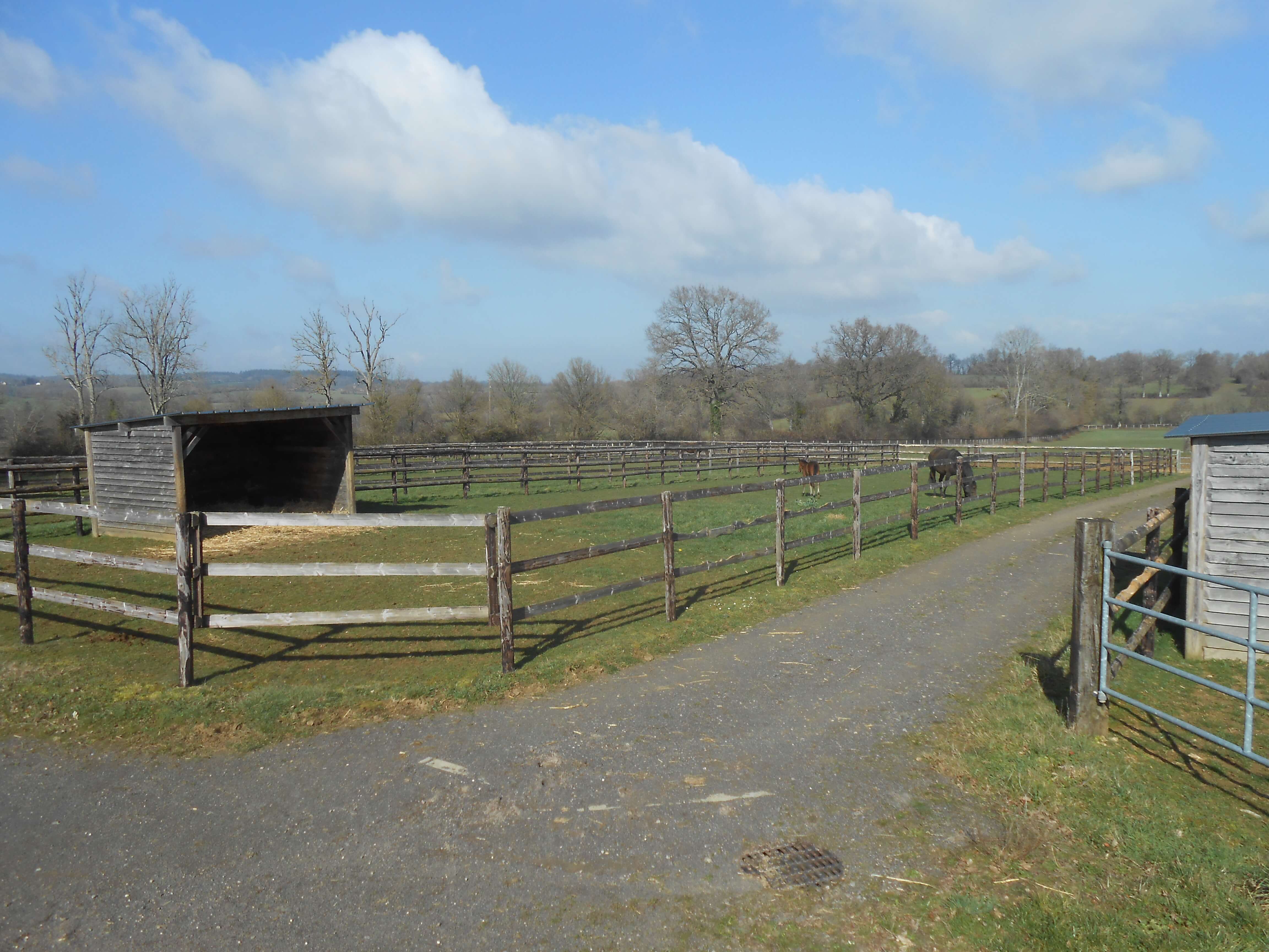 annexe 2 Haras de Lou