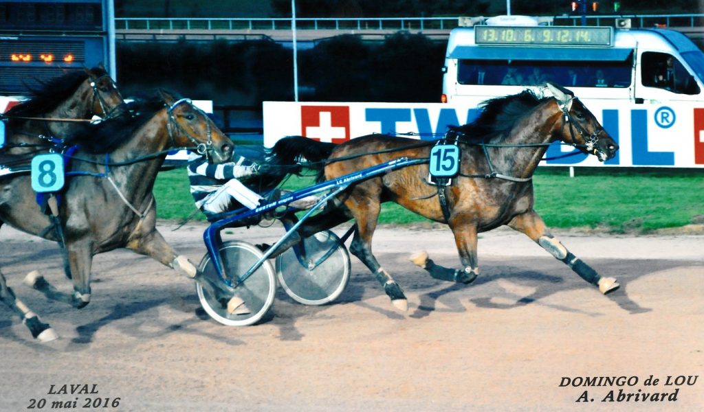 DOMINGO DE LOU laval 2016